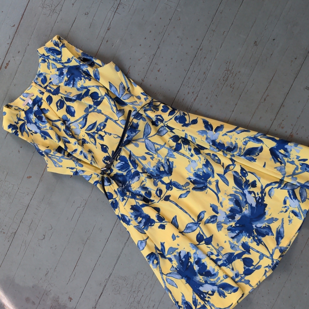 Yellow & Blue Floral Fit-and-Flare Dress